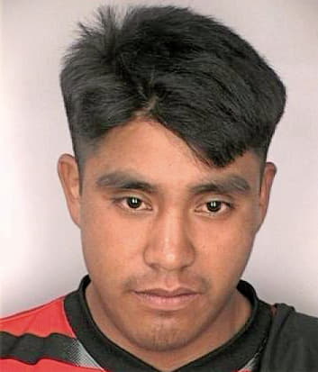 Hernandezlopez Armando - Hillsborough County, FL 
