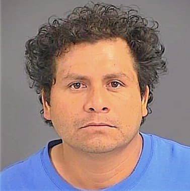 Martinez Felix - Charleston County, SC 