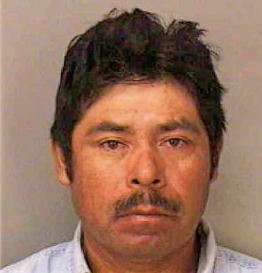 Rodriguez Franco - Polk County, FL 