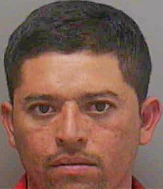 Franco-Gonzalez Walter - Lee County, FL 
