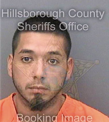 Lara Cristobal - Hillsborough County, FL 