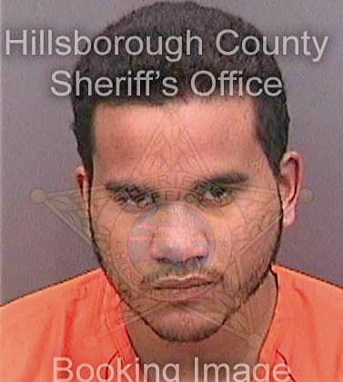 Cruz David - Hillsborough County, FL 