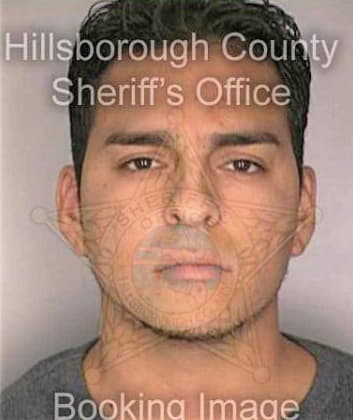 Montero Manuel - Hillsborough County, FL 