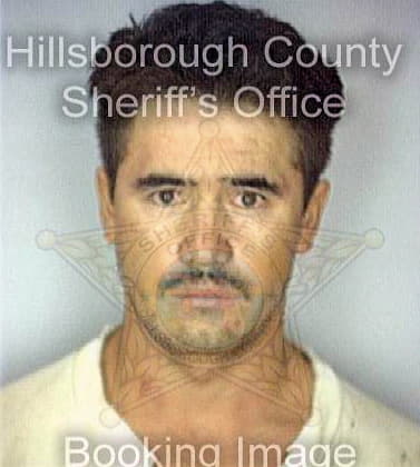 Cortezflores Oscar - Hillsborough County, FL 