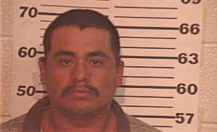 Delgado Ricardo - Hidalgo County, TX 