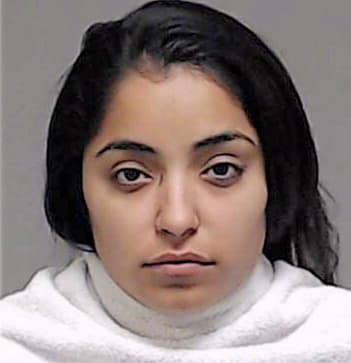 Rodriguez Rosa - Collin County, TX 
