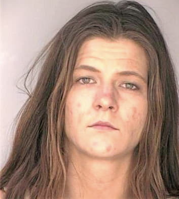 Erickson Jamie - Hillsborough County, FL 