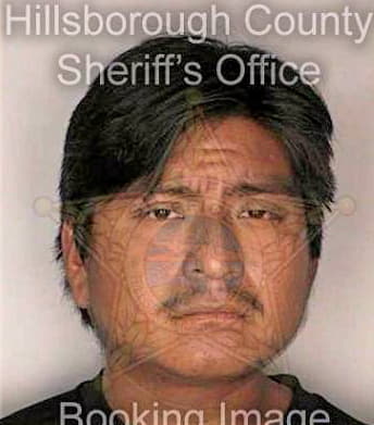 Hernandez Moises - Hillsborough County, FL 