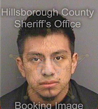 Lopezvillegas Roberto - Hillsborough County, FL 