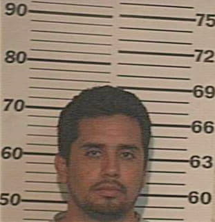 Alvarez Gilberto - Hidalgo County, TX 