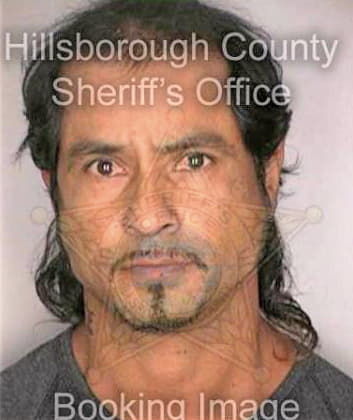 Ramirez Guillermo - Hillsborough County, FL 