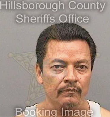 Guevaraceballos Jose - Hillsborough County, FL 