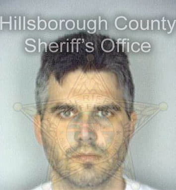 Borrell William - Hillsborough County, FL 