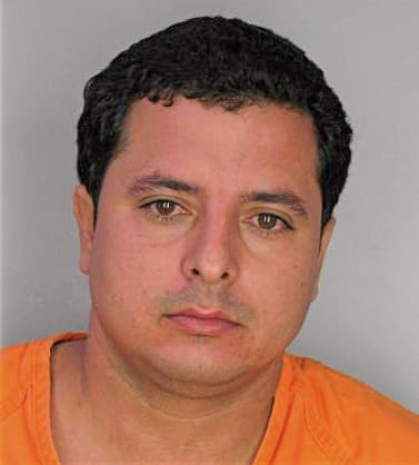 Fernandez Maikel - Hillsborough County, FL 