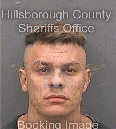 Delima Tiago - Hillsborough County, FL 