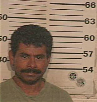 Ramirez Jose - Hidalgo County, TX 