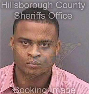 Mckinney Quientin - Hillsborough County, FL 