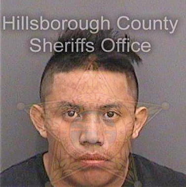 Ramirezsohom Nery - Hillsborough County, FL 