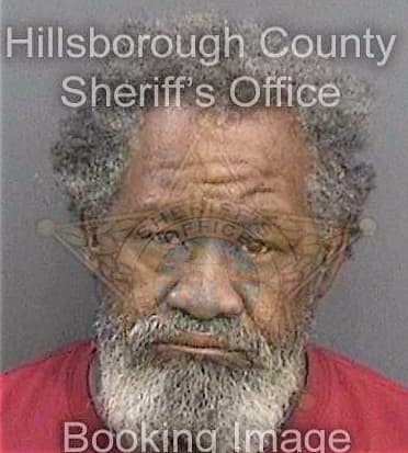 Baldwin Charles - Hillsborough County, FL 