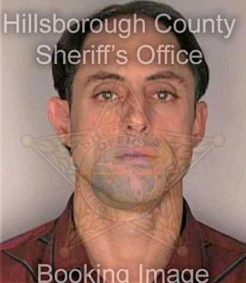 Borriello Gregory - Hillsborough County, FL 