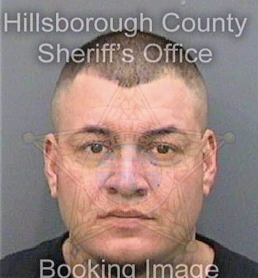 Fernandez Jaime - Hillsborough County, FL 