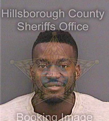 Enemchukwu Ajuluchukwu - Hillsborough County, FL 