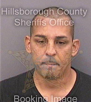 Sanchez Francisco - Hillsborough County, FL 