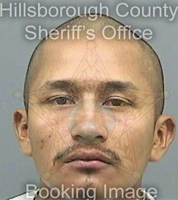 Ordonezbecerra Fredy - Hillsborough County, FL 