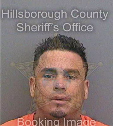 Soto Hector - Hillsborough County, FL 