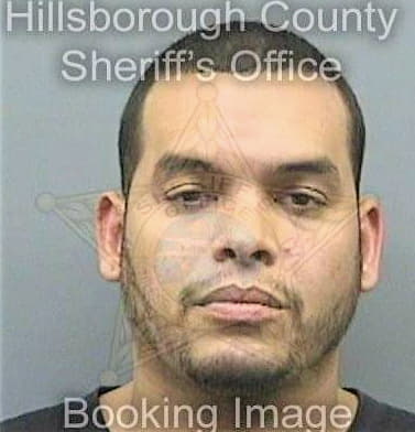 Leal Albert - Hillsborough County, FL 