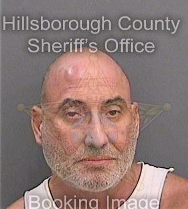 Diazfuentes Hugo - Hillsborough County, FL 