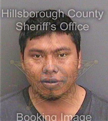 Gonzalezshilon Mariano - Hillsborough County, FL 