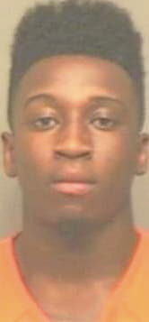 Mcneill Talijel - Montgomery County, TN 