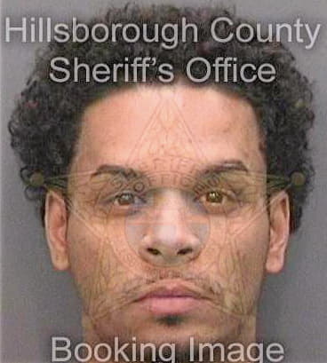 Gonzalez Juan - Hillsborough County, FL 