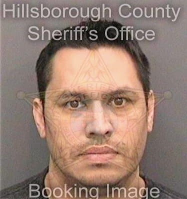 Trevino Luis - Hillsborough County, FL 