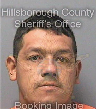 Reyestovar Gerardo - Hillsborough County, FL 