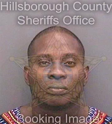 Stlouis Mackenson - Hillsborough County, FL 