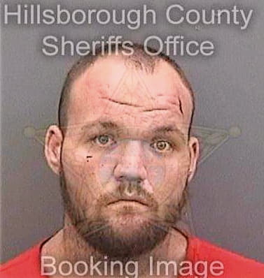 Dietz Anthony - Hillsborough County, FL 