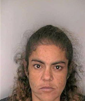 Boyd Susanne - Hillsborough County, FL 