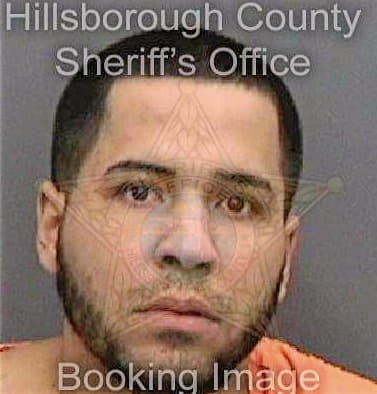 Bisonomiro Javier - Hillsborough County, FL 