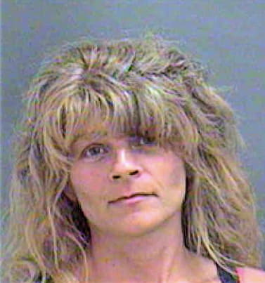 Guercio Diane - Mecklenburg County, NC 