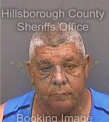 Ramirez Rolando - Hillsborough County, FL 