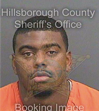 Lewis Maurice - Hillsborough County, FL 