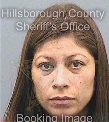 Manzanoramirez Sara - Hillsborough County, FL 