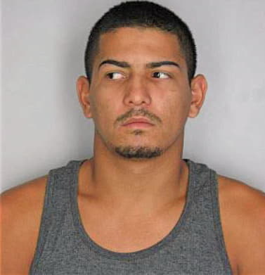 Cedeno Wilmer - Hillsborough County, FL 