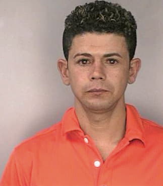 Desouza Osmar - Hillsborough County, FL 