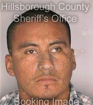 Torres Miguel - Hillsborough County, FL 