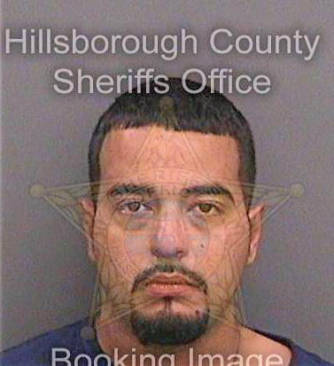 Sanchez Carlos - Hillsborough County, FL 