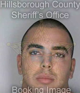 Mesa Jason - Hillsborough County, FL 