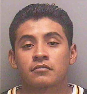 Mireles Silverio - Lee County, FL 